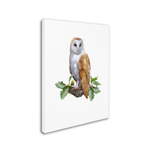 The Macneil Studio 'Barn Owl ' Canvas Art,14x19